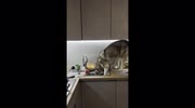 temp