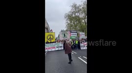 UK: Huge crowds of people chant for Palestine in London