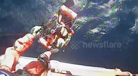 USA:  US Coast Guard Rescues Sailor and Dogs Near Whales Head Beach, Oregon