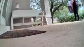 FedEx delivery mishap: Chewy parcel roughly handled, customer upset