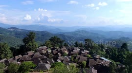 Experts laud conservation efforts of China's tea forests cultural landscape