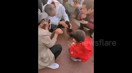 Duck choked by steel ball seeks human help on shore