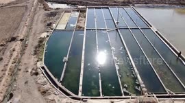 Saltwater seafood production brings prosperity to farmers in China's inland Gansu Province