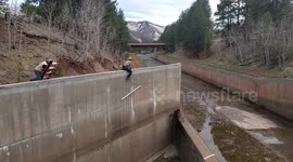 USA: Two mountain lions rescued during wildlife operation in Colorado