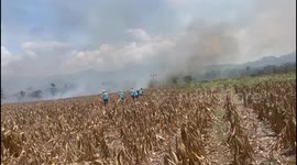 Guatemala: Guatemalan community fights forest fires in Los Amates, Izabal