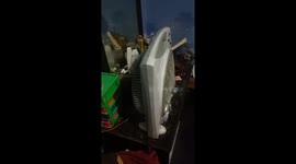 Tabletop fan hilarity: a noisy encounter in Meteseh, Semarang