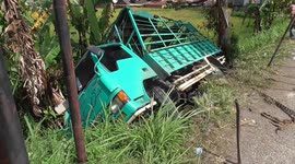 Cattle truck plunges into ravine after rolling back on hillside in Indonesia, 2 cows killed at scene