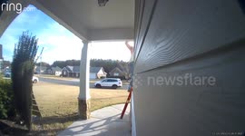 Ladder Fall Fixing Christmas Lights