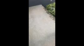 Westmoreland Kansas homeowner panics seeing confirmed tornado over her house