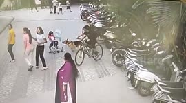 Horror moment German Shepherd launches vicious attack on girl, 6, in India