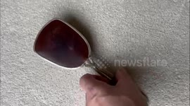 Rare WW2 female assassin's dagger - disguised as a hairbrush - donated to museum