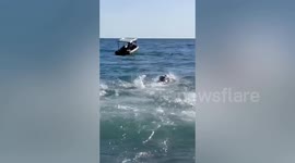 Beachgoer killed after being struck by motorboat's propeller during duck-catching race