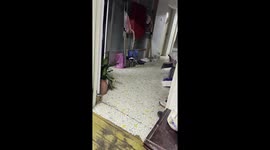 Puppy transforms into furious hound after three days alone