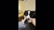 temp