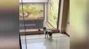 temp