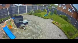 Dad caught on CCTV dancing like Freddie Mercury while mowing lawn