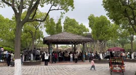 Shocking scene of elephants fighting in Shanghai Zoo, China