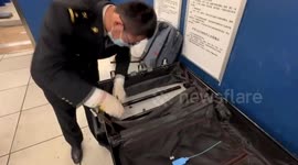 Customs seize 51 ivory beads concealed inside luggage handle at Chinese airport