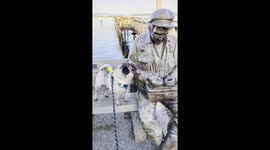Pug Perplexed by Stoic Statue