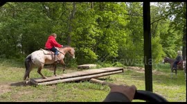 Man Quickly Dives In To Save Niece From Kicking Horse