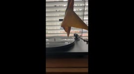 Dying plant looks as if its reaching out for record player