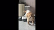 temp