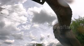 unexpected recording of wild elephant drinking water by the tube well in sri lanka