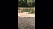 temp