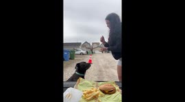 Calgary dog wins rock paper scissors food challenge