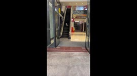 Dog rides escalator, casually strolls out