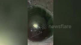 Bull falls into dry deep well in central India, rescued