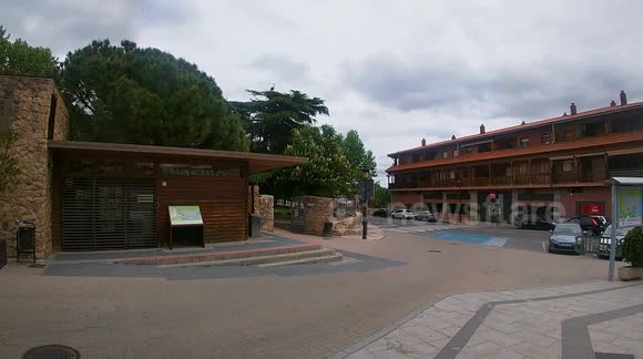Wildlife photographer films a Stork eating a large snake as her hatchlings wait to be fed