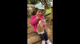Evelyn's tender moment: feeding a rabbit in Zakynthos