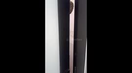 Man finds a big beehive in the toilet