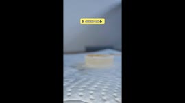 Feeding a Squeaking Moth! He’s very dramatic!