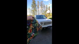 Beautiful Stained-Glass Moonroof