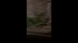 Bulacan's balut vendor pedals joyfully in extravagant attire