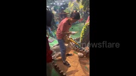 Park attendant rescues duck from pelican's grip in zoo