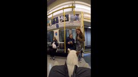 Train encounter: Viola the dog spreads joy to passengers