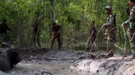 Wildlife officers help baby elephant stuck in mud