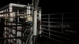 USA: Missing Zebra Safely Captured Near North Bend After Six-Day Search