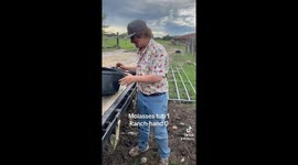 Face Full of Molasses