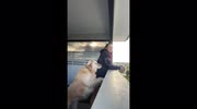 temp