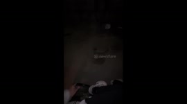 Delhi dare: close encounter with a cow caught on camera