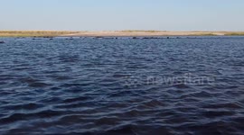 Angry hippo charges at boat and bites down on rear motor with massive jaws