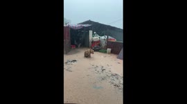 Deliveryman buys dog from owner who left it out in the rain