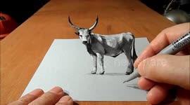 How to Draw a 3D Grey Cattle, Trick Art by Vamos