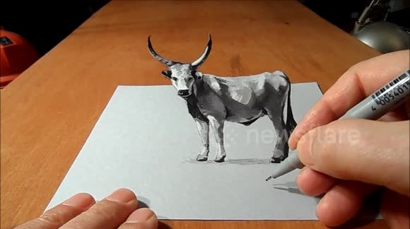 How to Draw a 3D Grey Cattle, Trick Art by Vamos