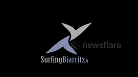 Les Toutous Surfeurs 2015 ! surf dog