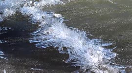 Strange-looking cylindrical ice crystals on a melting lake